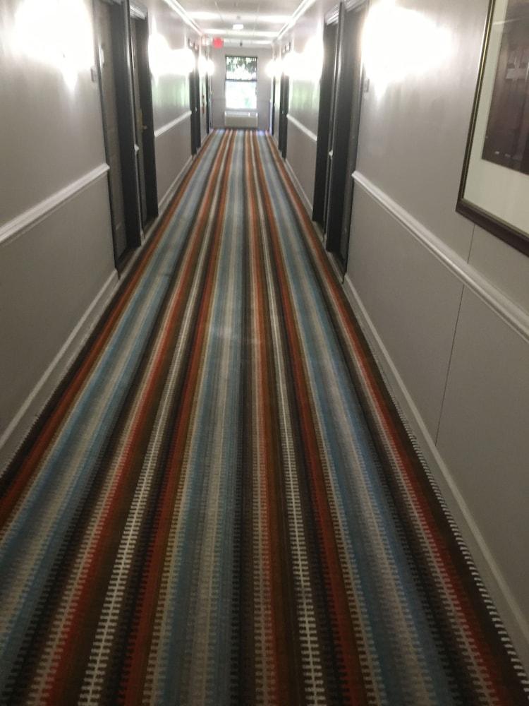 Hotel Baymont By Wyndham Sumter Zewnętrze zdjęcie